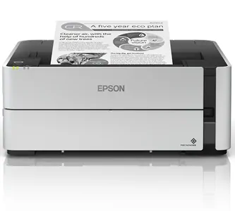 Замена принтера Epson M1180 в Воронеже